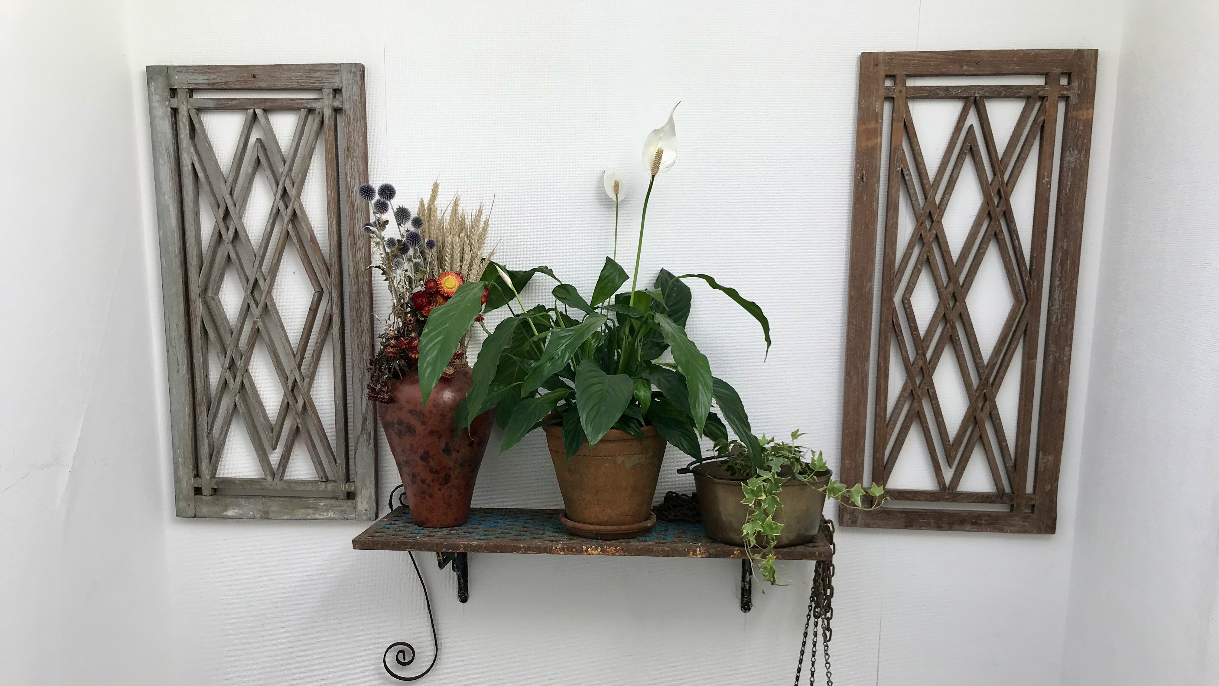 Wall display with plants