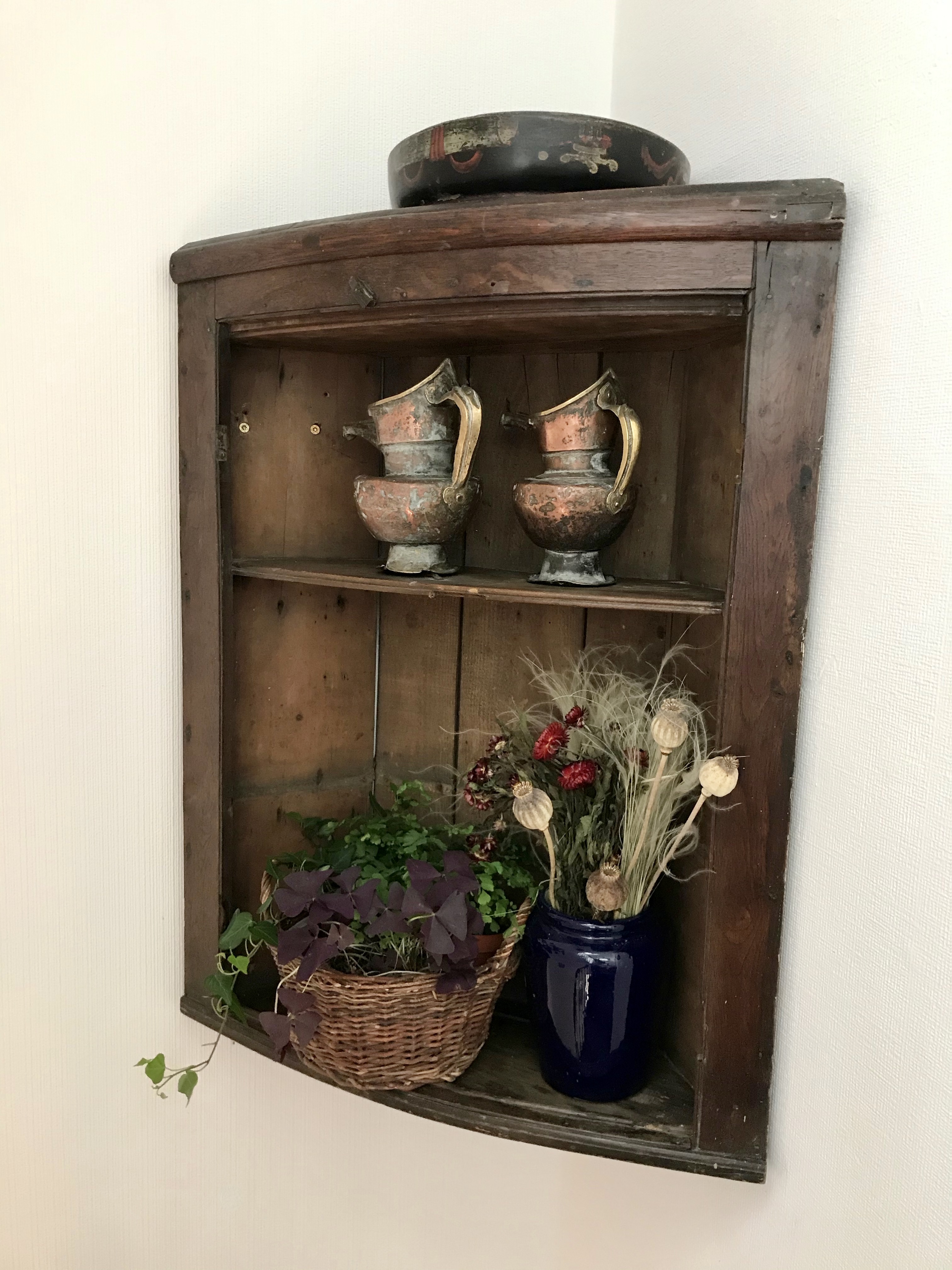 Corner shelf with plant and ornaments