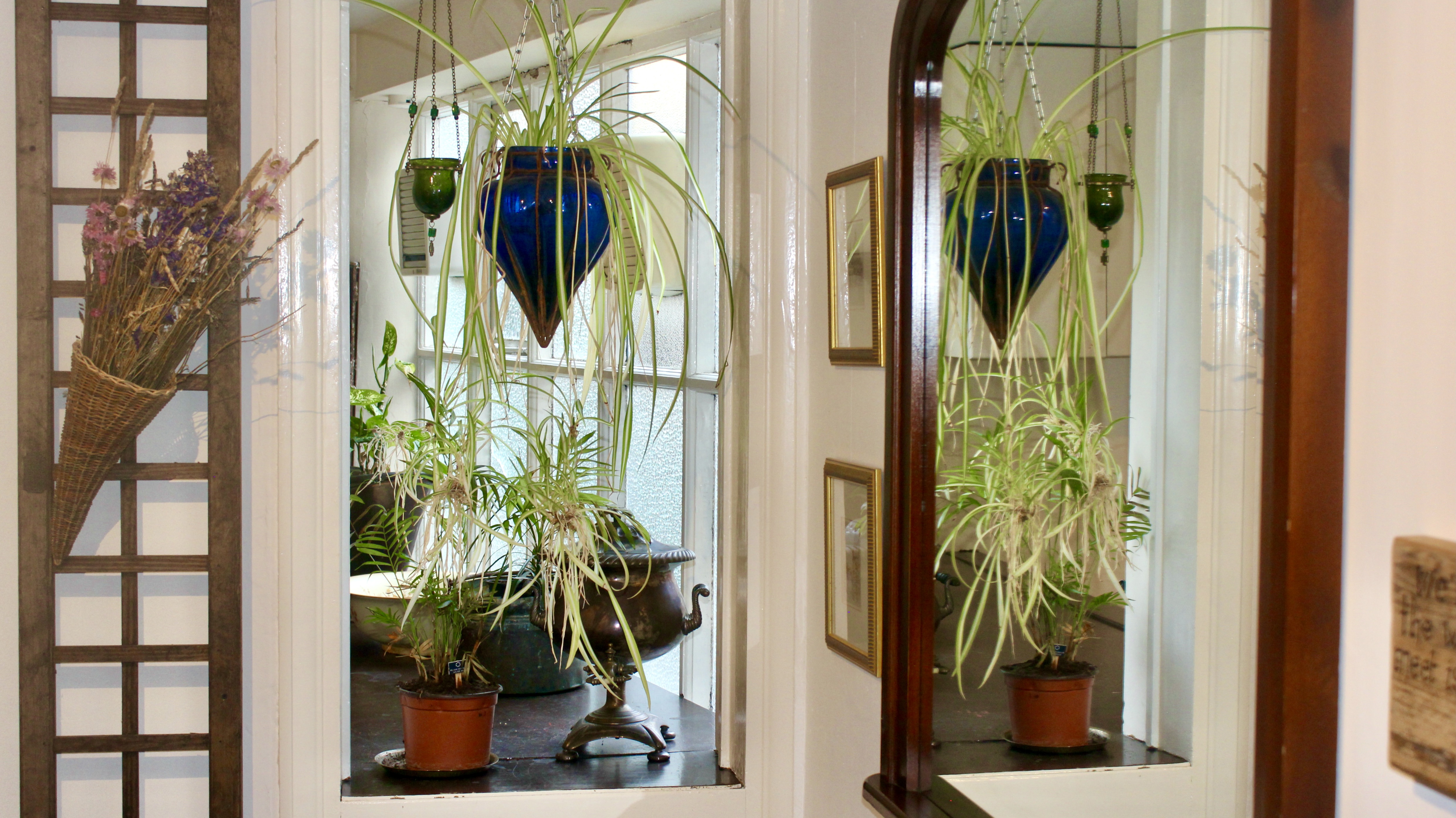 Hallway with mirror and hanging plant