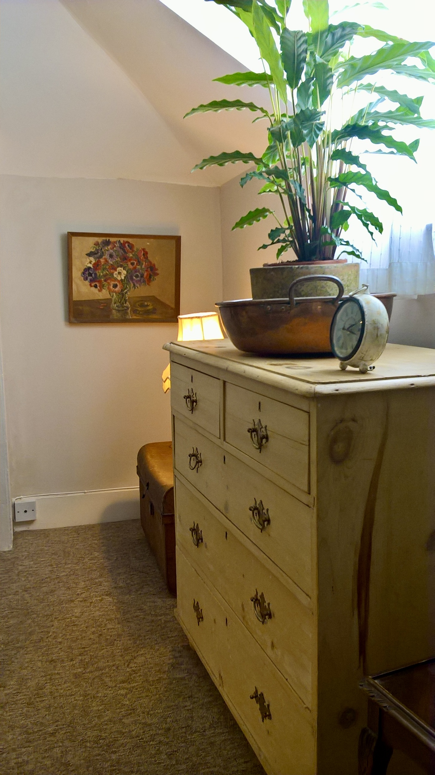 Chest of drawers and a plant within one of the therapy rooms